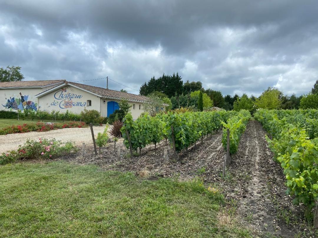 Saint-Sauveur  Domaine Du Cassana 빌라 외부 사진